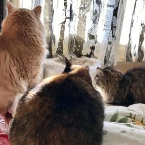 Meet your Posher, Christine